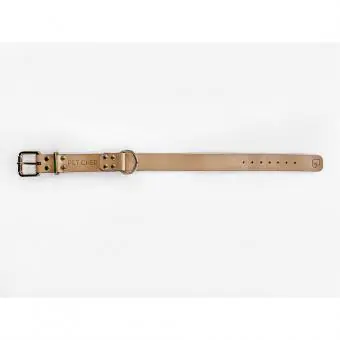 Coleira de couro para cachorro Pet Cher Apolo