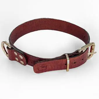 Coleira de couro para cachorro Pet Cher Astro