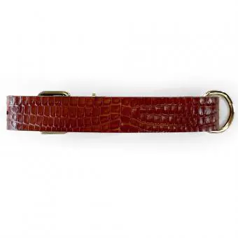 Coleira de couro para cachorro Pet Cher Astro