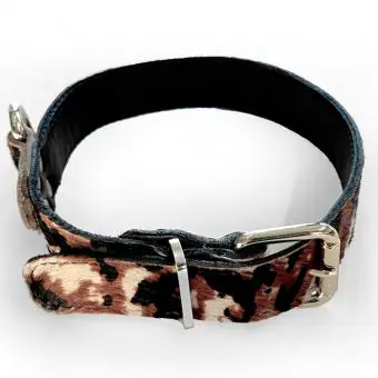 Coleira de couro para cachorro Pet Cher Bolt