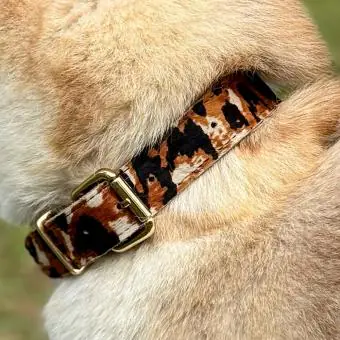 Coleira de couro para cachorro Pet Cher Bolt