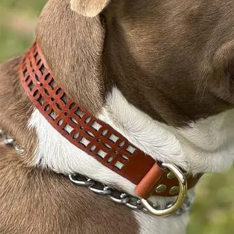 Coleira de couro para cachorro Pet Cher Jade