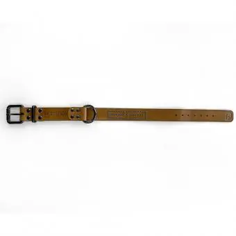 Coleira de couro para cachorro Pet Cher Max