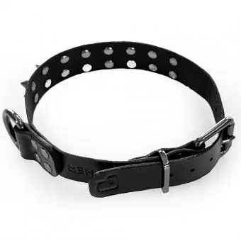 Coleira de couro para cachorro Pet Cher Tyson